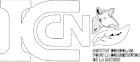 ICCN Logo