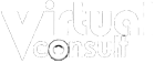 Virtual Consult Logo